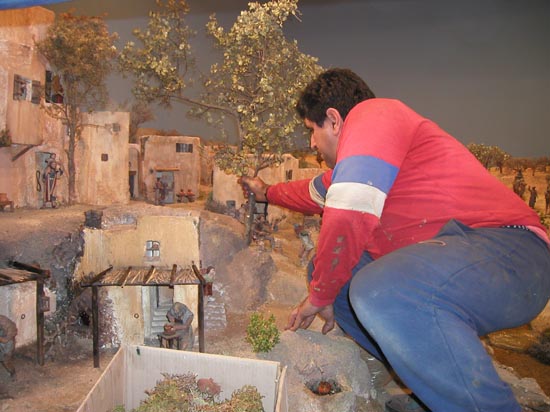 041219 12 un gran arbol va a ser colocado