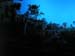 041224 65 Amaneciendo