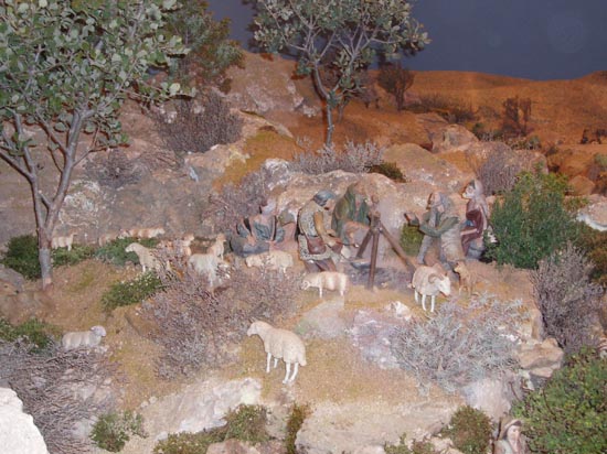 051207 10 Anunciacion pastores con ovejas
