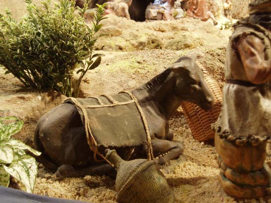 071222 034 burro de merendola