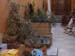 071222 133 plantas sobrantes