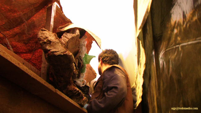 081213 34 laboriosa tarea