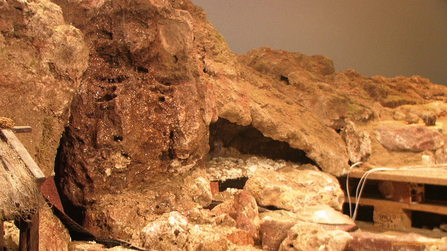 131224 (30) Detalle cueva champi