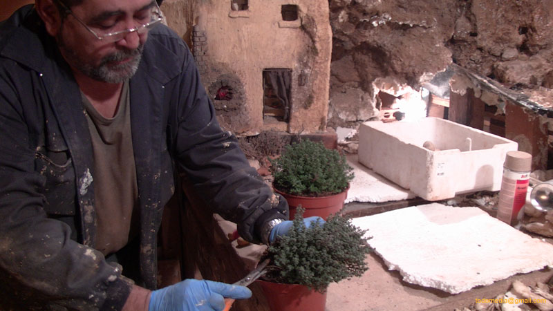 151208 (46) Poniendo plantas