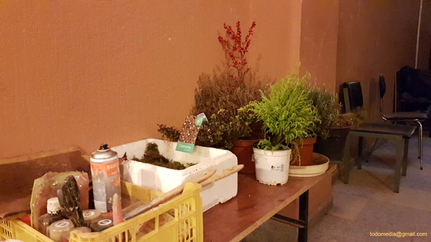 181222 (02) Plantas sobrantes pasan al pasillo